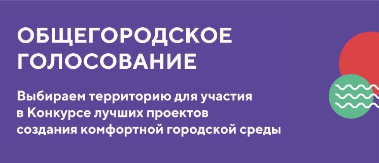 Общегородское голосование малый баннер